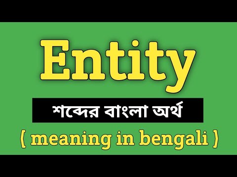 Entity Meaning in Bengali || Entity শব্দের বাংলা অর্থ কি? || Word Meaning Of Entity
