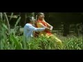 பள்ளியறை நான் தானே பாரிசாத பூந்தேனே Wh