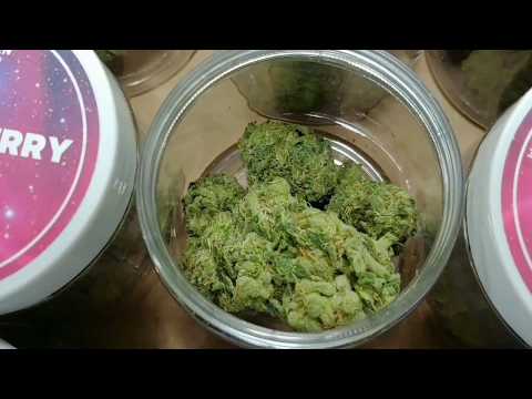 Space Weed Strains & Flavors