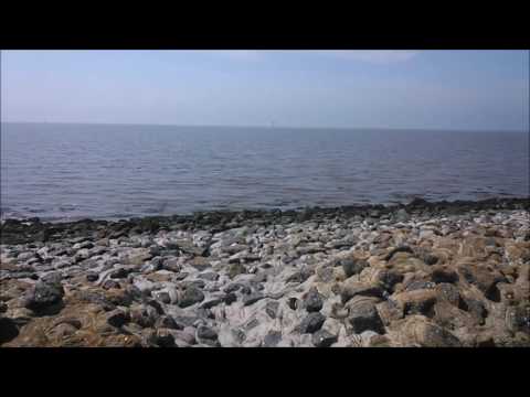 Northern Germany - Bremerhaven/Imsum - Bicycle tour on dike