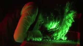 the GazettE - DIM SCENE (DIM SCENE-FINAL)