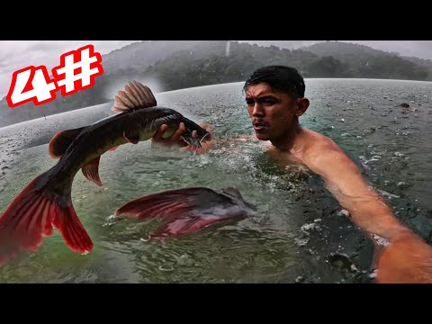 RỪNG Già Dổ Mưa Lớn Đầu Mùa Là Lúc Cá Lớn Đi Săn Mồi | 4 Ngày Ngủ RỪNG ( Hái Rau Câu Cá Làm Nơi Ở )