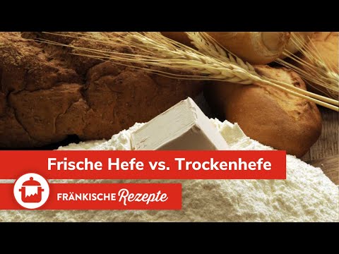 The difference between dry yeast and fresh yeast 🍞🥐