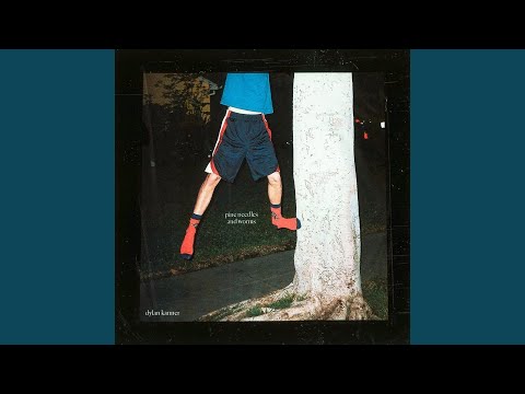 Terence Mckenna - Dylan Kanner