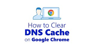 ⭐ How to Clear DNS Cache on Google Chrome (Clear host cache)