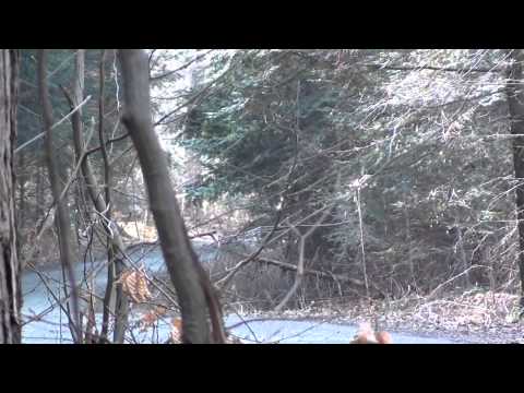 II Memoriał Kuliga i Bublewicza dla Amatorów - Górski Jan Haras Agata Citroen Saxo by OesRecords