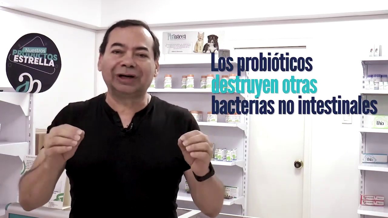 Guillermo Mendieta-27