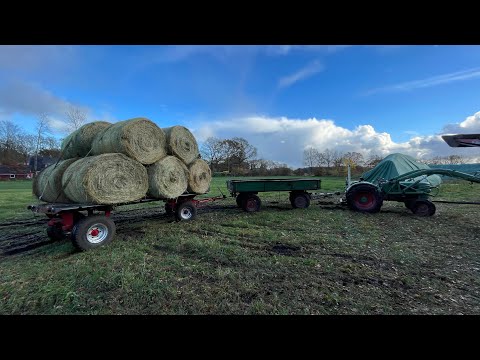 Farmvlog #221 | Der kleine macht Schlapp