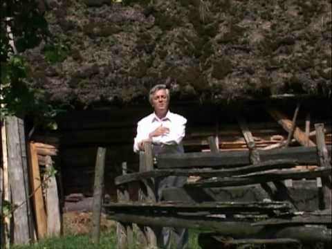 OVIDIU LITEANU - LACRIMI