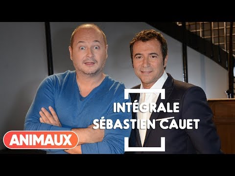 Sébastien Cauet dans Animaux Stars (intégrale) - Animaux