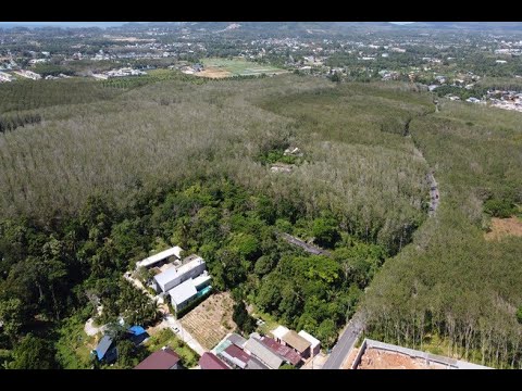 7.5 Rai of Flat Land for Sale in Cherng Talay - Ideal for Villa Development