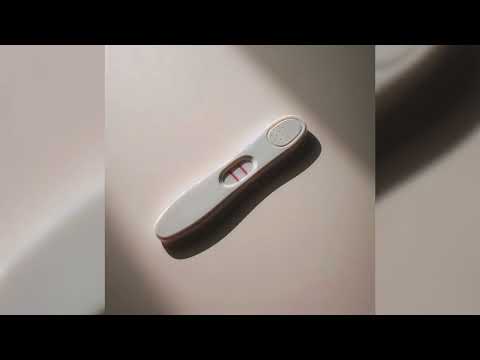 ЧЕЛОВЕК ЯЙЦА — ЗАЛЕТАРИКИ