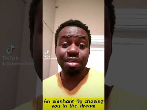 An elephant chasing you in the dream