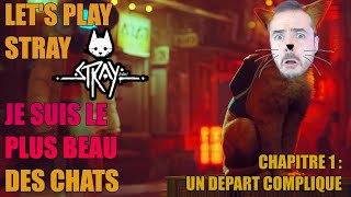 LET'S PLAY COMPLET : STRAY PARTIE 1 - JE SUIS LE PLUS BEAU DES CHATS !!!