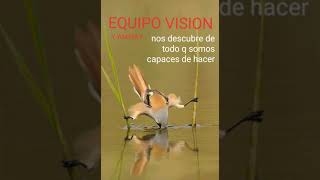 Vuela águila tercer cielo