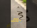 Short Snake And Frog Viralvideo