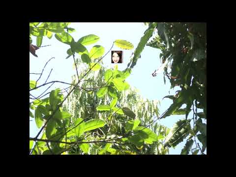 New Nature Photos {New Sky Shots}New  Beautiful  Nature Photographs