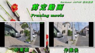 https://www.youtube.com/watch?v=D2ksfb_Li9I