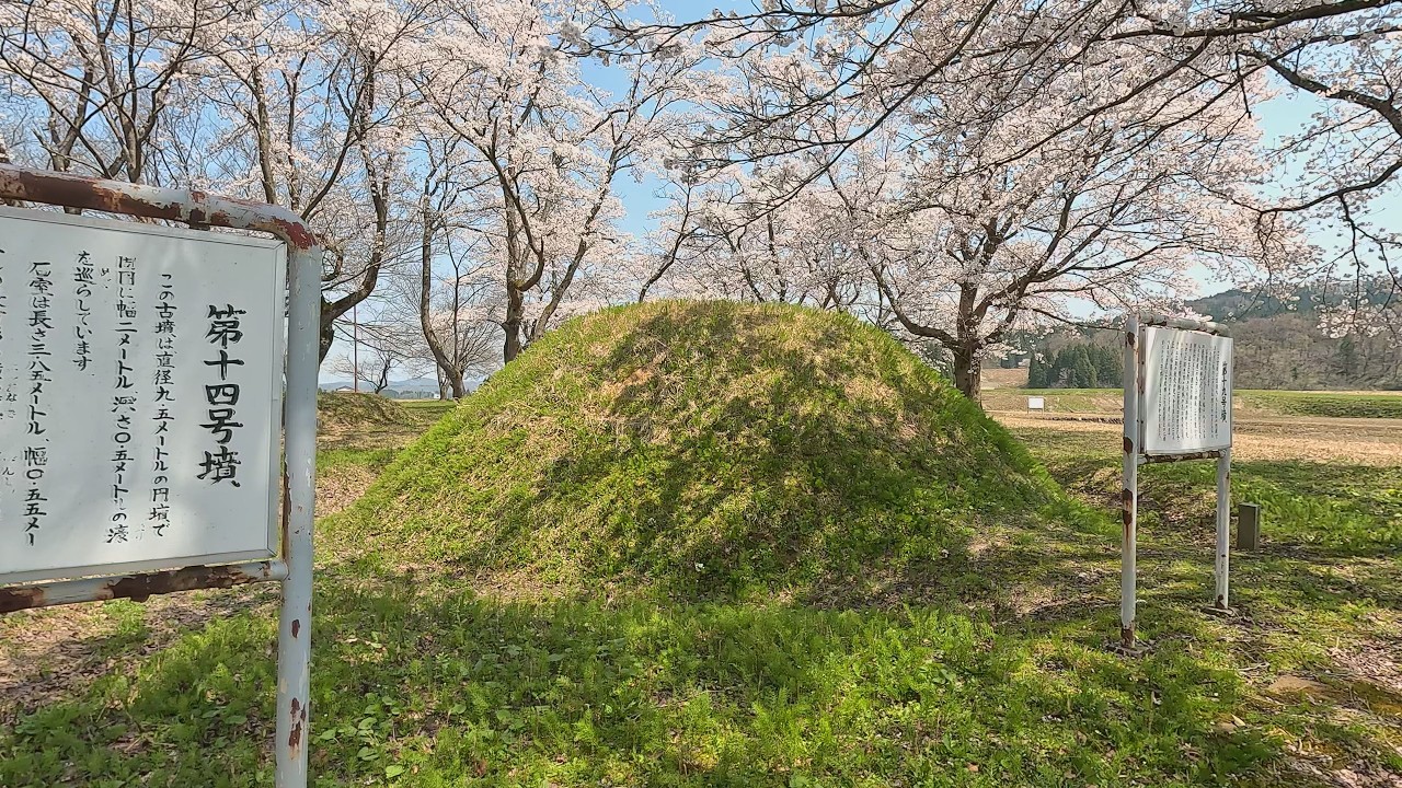 【ふるさと百景】　古墳で花見　水科古墳群（新潟県上越市三和区）