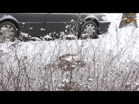 Kan bli kallaste vintern på flera år