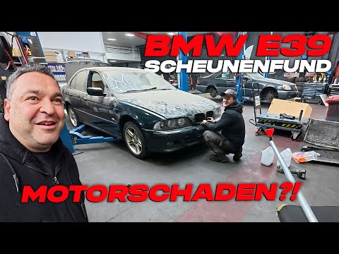 BMW E39 - Scheunenfund mit Motorschaden? - Nach 3 Jahren endlich aus der Ecke gezogen!