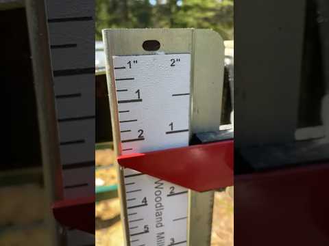 Best affordable mill on the market!