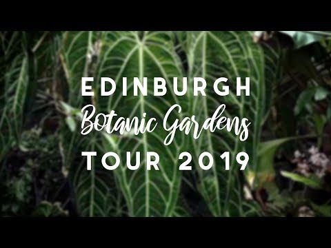 Edinburgh Botanical Gardens Tour! | 2019