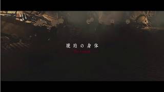 【歌ってみた】琥珀の身体/HIMEHINA【ぽこまるch】