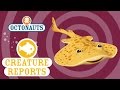 Octonauts Creature Report Torpedo Rays