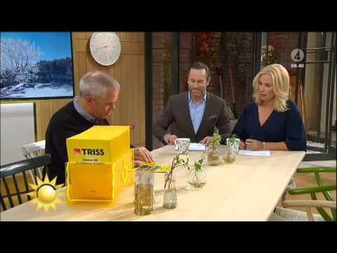 Trissvinnaren får en kram av Peter Jihde - Nyhetsmorgon (TV4)