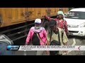 Sembuh Dari Lumpuh Seorang Pria Jalan Kaki Medan Banyuwangi