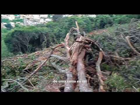 Destruição Da Mata Atlântica Na Cidade De Ouro Branco, Minas Gerais, Brasil !