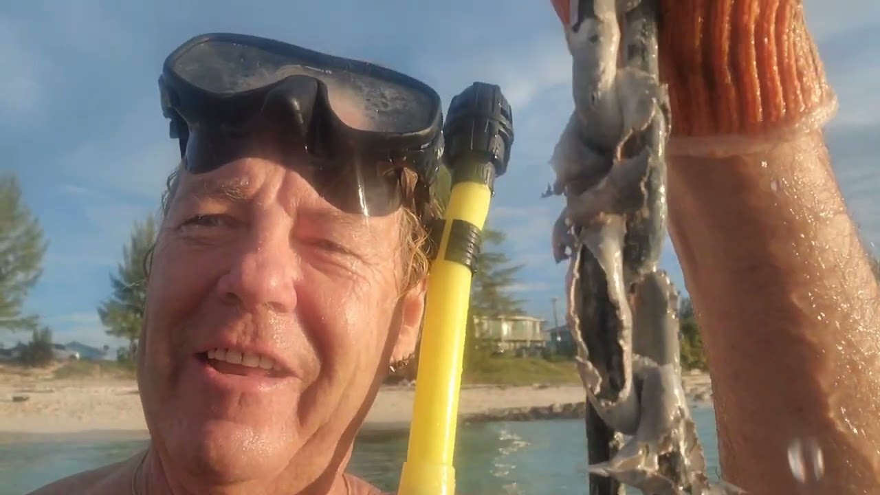 We found our anchor we lost when our sailboat beached in a hurricane storm!