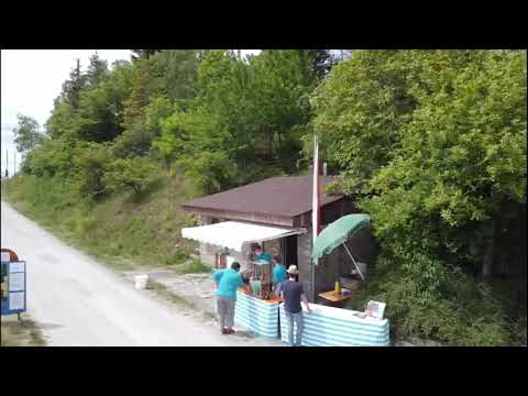 Weingut Höfling - Fränkisches Gedeck – Schoppen und Bratwurst im Stettener Stein am Terroir F