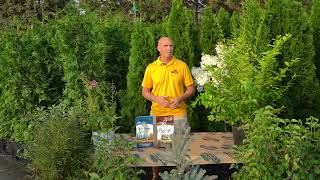 What to Plant to Create Privacy ENGLISH GARDENS