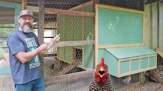 The $0 Chicken Coop Just Got a Major Upgrade