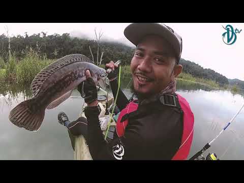DevilCraft Fishing TV #13 - Giant Snakehead, Royal Belum