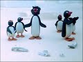 Pingu 48 Pingu On The School Excursion Original VHS Version HQ Restored