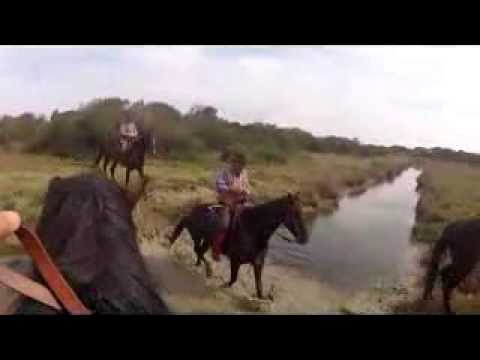 tenuta san carlo sul mare