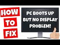 New PC Build Powers On But NO Display Or NO VGA Screen Output Fix