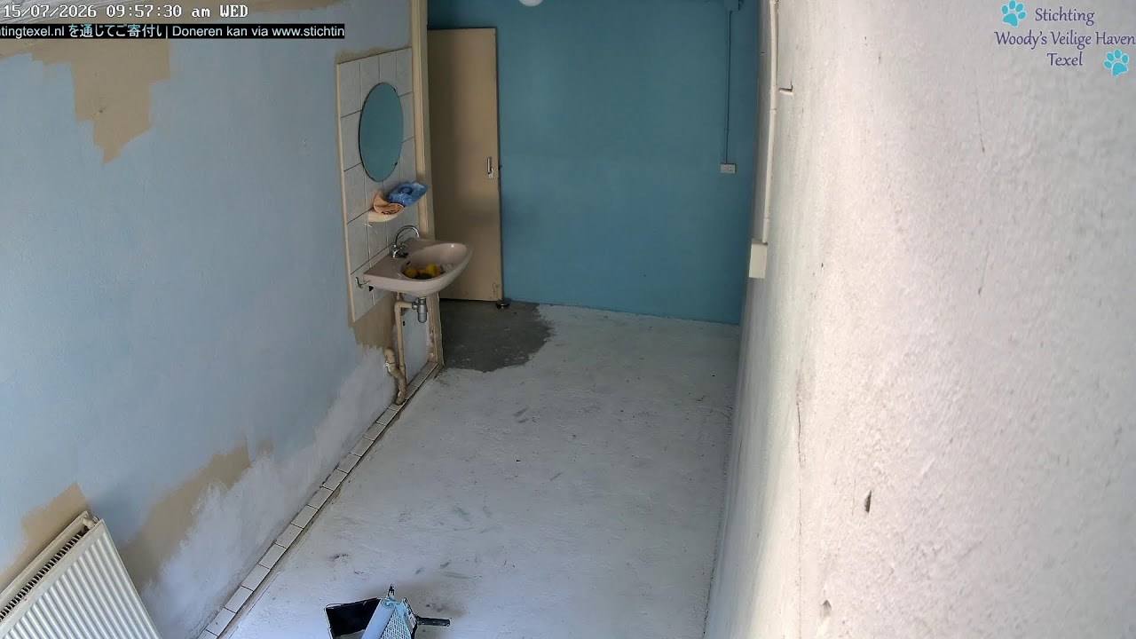Live webcam view of Texel Animal Shelter Room Bailey