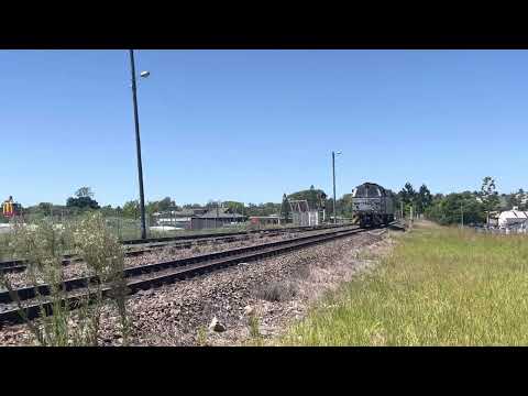 Qube MZ visits South Grafton.