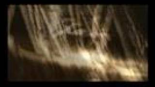 hydrus - flux