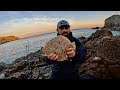 How To Catch Turbot From The Shore - Beach Fishing Uk - Shore Fishing Uk