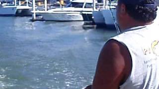 preview picture of video 'Feeding Birds in Vallarta Marina'