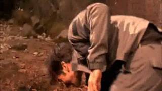 Shex: &quot;Tattooed Love Boys&quot;