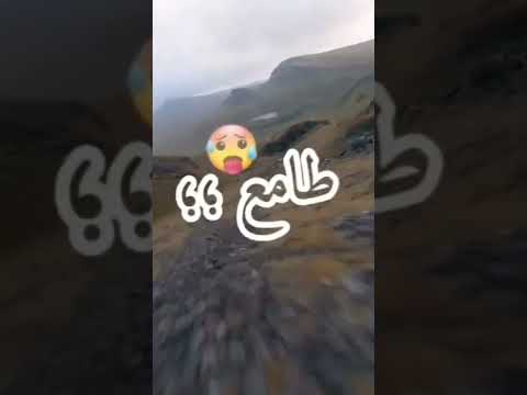 موسيقى راي أغنية أغاني اغنية اغاني لحن الحان ألحان بوب راب حفلة أغنية جديدة ريمكس ليك