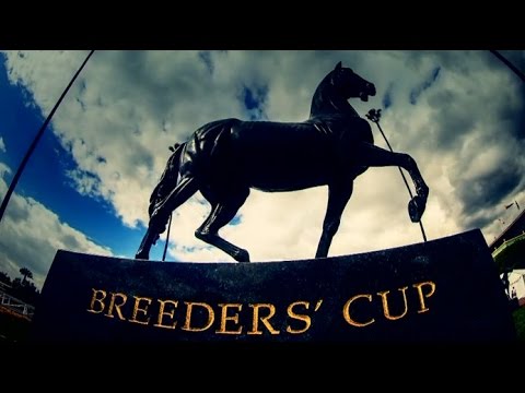 2014 Breeders' Cup: California Chrome