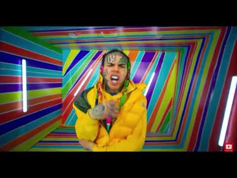 Are you dumb stupid or dumb huh