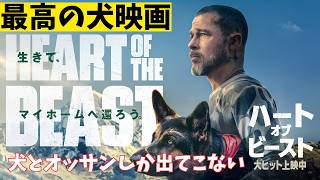 映画『ハート・オブ・ビースト』主演は犬！【ブラッド・ピット J・K・シモンズ 映画レビュー 考察 興行収入 興収 filmarks】